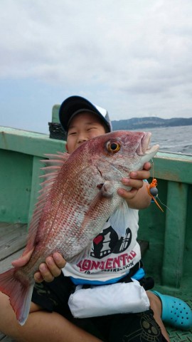 38wxo8u457wj9p4dsmhr_480_480-fb7dc0f5.jpg