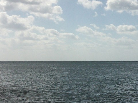 38zcam89j4463gr6x8av_920_690-44fa8401.jpg