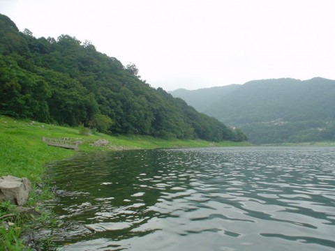 39bojpefjux9ywugn9sb_480_480-516411dd.jpg