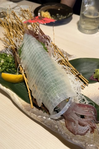 39dhf9wwt2rnibkknaoi_480_480-b0afbeba.jpg