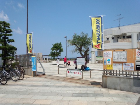 39etznbc2yst7o9ahkud_480_480-bd5652e6.jpg