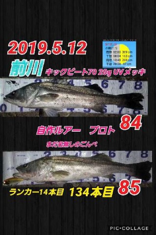 39j4ijueh4j9wu7yzi3y_480_480-1da7fce1.jpg