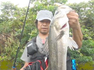 39onw93adg2thpipbj74-37c184e7.jpg