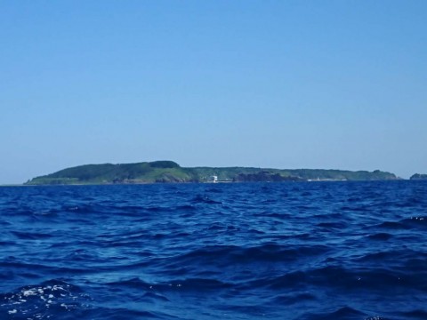 39oodciv7x2sx6r3f734_480_480-add350fb.jpg