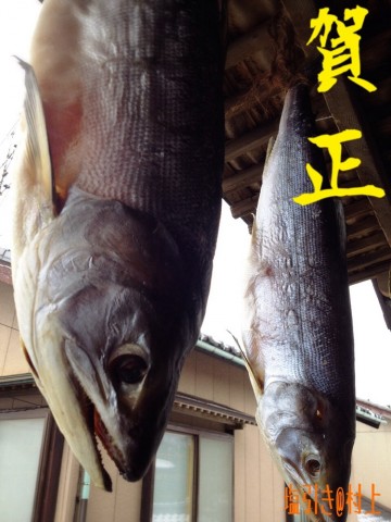 39syyp63rx72rkdwngwu_690_920-af18f7d6.jpg