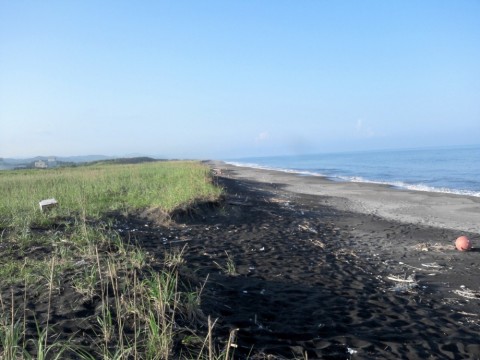 39zaxbww4ubpotaba2fb_480_480-32c7750a.jpg
