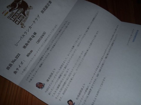 3a78h279aaku8or5v9f8_480_480-f553f8c2.jpg