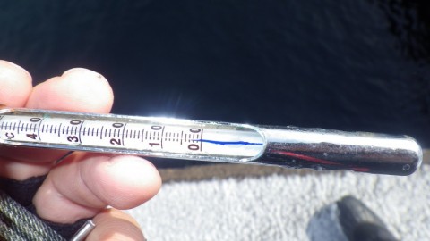3ab9kejjdwur7vhrx9cf_480_480-26f4243c.jpg