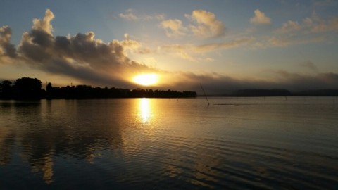 3apka9u48ynepfriofaa_920_518-f9bb7e9b.jpg