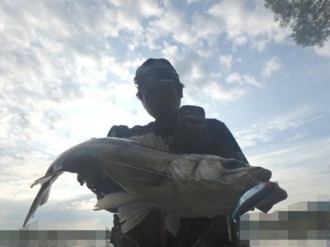 3auntigrct2ku5hrxmov_480_480-c887f390.jpg