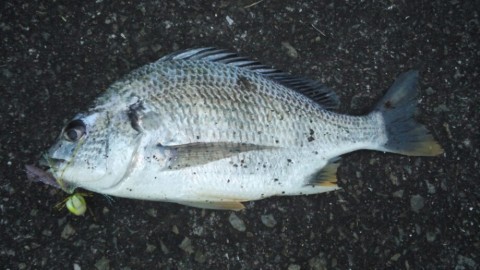3b3f27usfwpy3ra7zc93_920_518-2267ada1.jpg