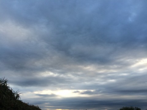 3b4fwk8emm74wiresj6i_480_480-47162d1e.jpg