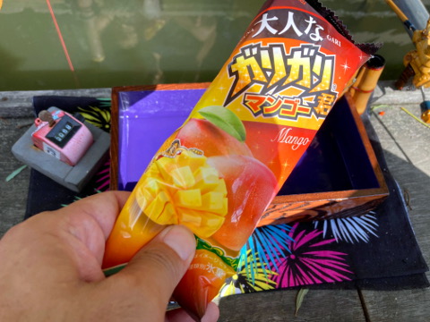 3bmh8tfsxjbkcj3w5piz-0e1cd026.jpg