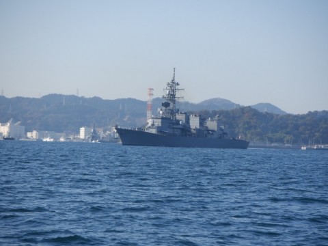 3bn63tpokjk5sdfj7v3d_480_480-2a8e1992.jpg