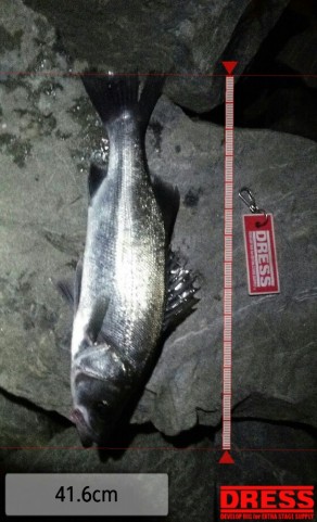 3bub9dsg3rxujgi7xd5y_559_920-f7584721.jpg