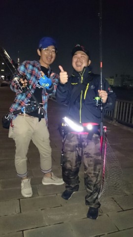 3bxbyvri9hz6sdifa73h_518_920-b8215199.jpg