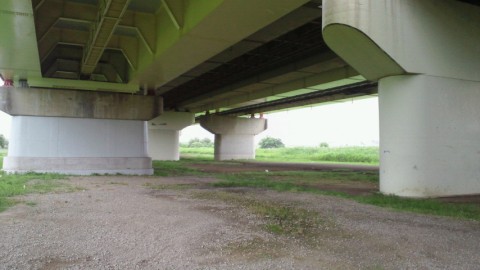 3bxwcuw8yp5omj79wne5_480_480-9711f903.jpg