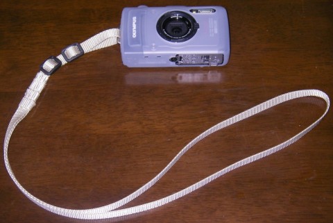 3bybbj9v47myipwygfta_480_480-af936016.jpg