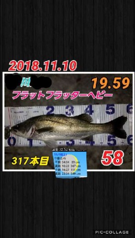 3ca5bfp86k8n8bgkngjv_480_480-e0721528.jpg