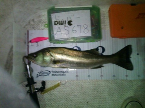 3codjr46wau2d2mzce29_920_689-ba18e15d.jpg