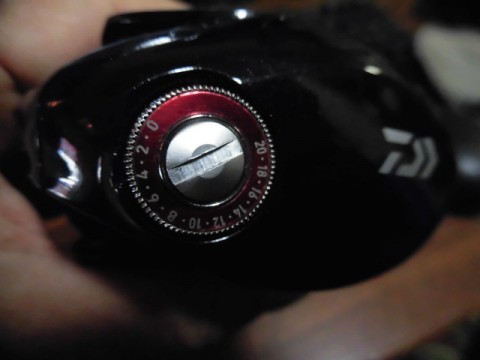 3cykk8a9swifcfzwygej_480_480-632fa601.jpg