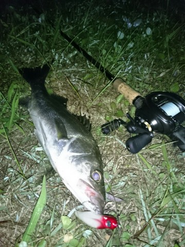 3ddj74wp843n6gzbkwfc_690_920-7b3e8960.jpg