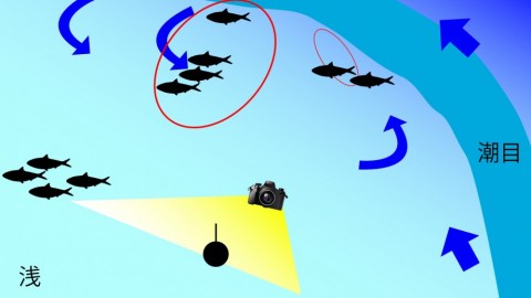 3dnithi38x3dvfrgvpa3_480_480-72f036bb.jpg