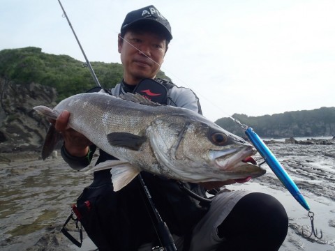 3dr9nyexc83mv8hvnmhr_480_480-8a368afe.jpg