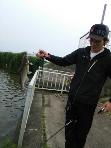 3dtk922c5mowco6446wr_690_920-a795b2b4.jpg