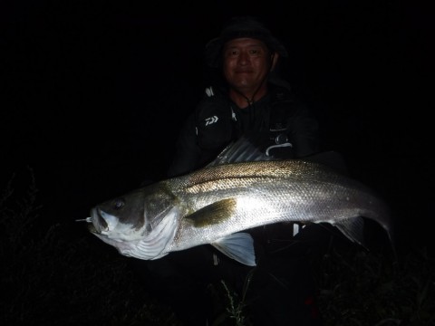 3eg7rk5fvdk424h4jte2_480_480-9129cafb.jpg