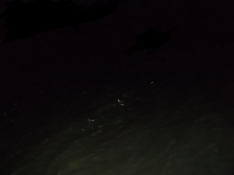 3er9xk2j7ujrd8jz4cha_480_480-7fa77f34.jpg