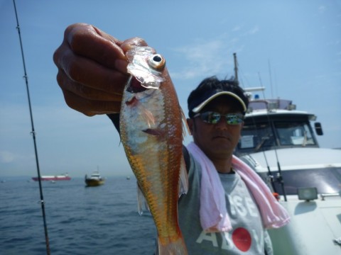 3fe4ry9or88sb3sz2pgc_480_480-6f06c1be.jpg