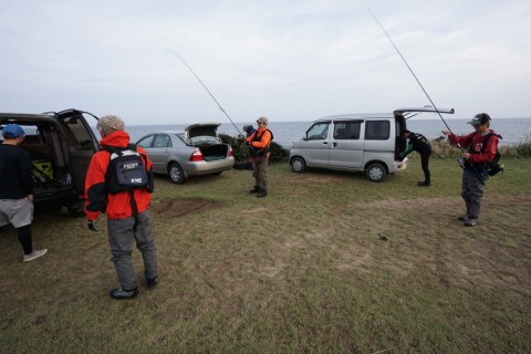 3fj6caargf4s3ke2pgad_480_480-1884147f.jpg