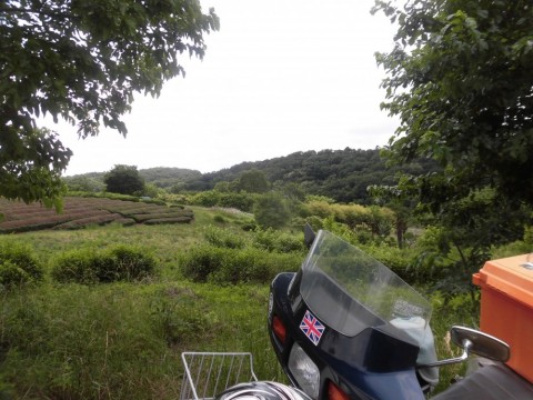 3fk55t2e8vfpbz9enaky_480_480-c795261e.jpg