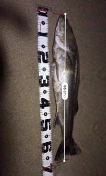3fmz45uhsun52k7a7kh7_289_480-abbd8e36.jpg
