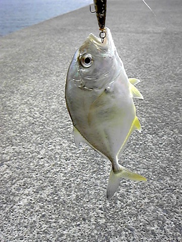3geetkwb6jeiciyak7gf-b4037339.jpg