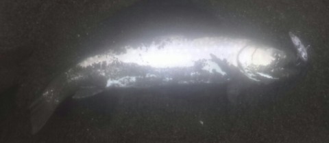 3gfjtd7u7xamtpcwdkv6_920_402-93d18e06.jpg