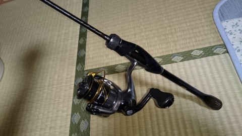 3gj6u2o8yuapus4kgij4_480_480-b23b86c9.jpg