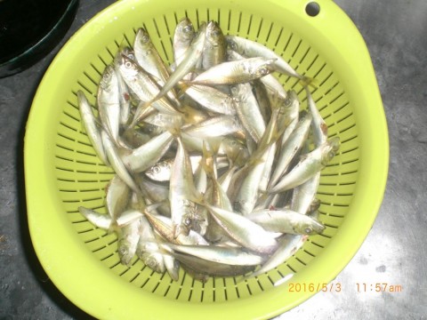 3h95phiyabgid8zr3vj3_480_480-634a0181.jpg