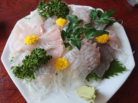 3hk78922u3xjcwdefep8_480_480-48283d74.jpg