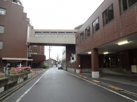 3hr6ojih3pxpcr6gacry_480_480-f0d6cd3e.jpg