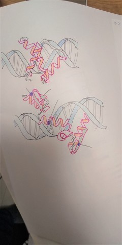 3hy9mfp8umze9gyujxr7_480_480-e48c24c4.jpg