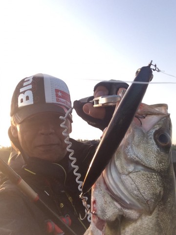 3ibu8ogopfa8x8hvtora_690_920-8d8291a1.jpg