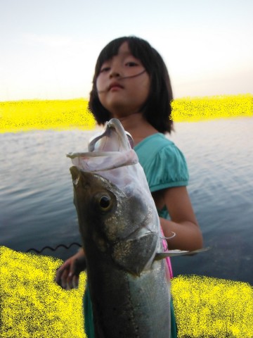 3ijndvshzeb2osgjunpe_480_480-d8b3b88b.jpg