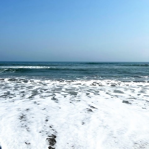 3ik7992jrda95c6gncsp_480_480-2cf6f640.jpg