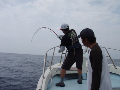 3jebs8fz49b3smu9mtk2-5b3efa6a.jpg