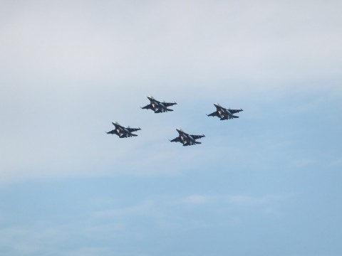 3jwfnhxby7jd8aycp6ii_480_480-484317ca.jpg