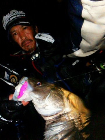 3kcrsaywzk323y2c4586_690_920-48226ee8.jpg
