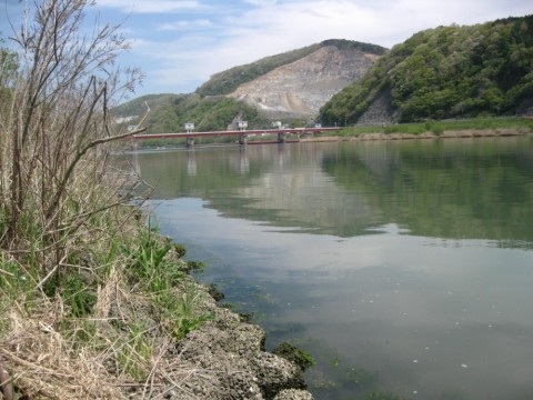 3kcvy245m4u5fovu36oh_480_480-c06eb361.jpg