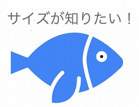 3khtss2jcscu3ivkfkh9_480_480-22a492ea.jpg